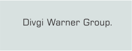 Divgi Warner Group.